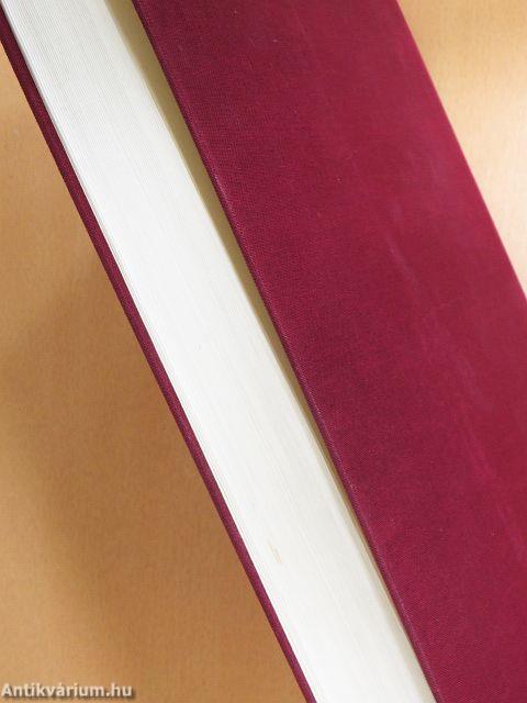 Magyar ki kicsoda 1990