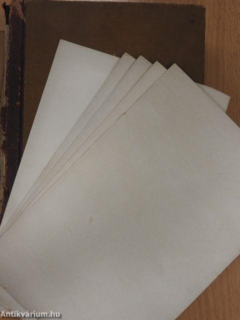 A Család egészsége (rossz állapotú)