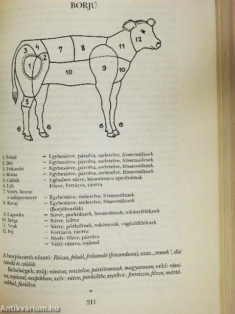 Az ínyesmester nagy szakácskönyve