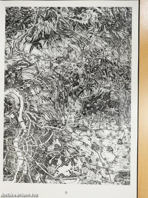 A nagy térkép - A Kárpát-medence madártávlatból