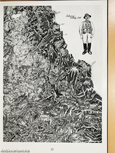 A nagy térkép - A Kárpát-medence madártávlatból