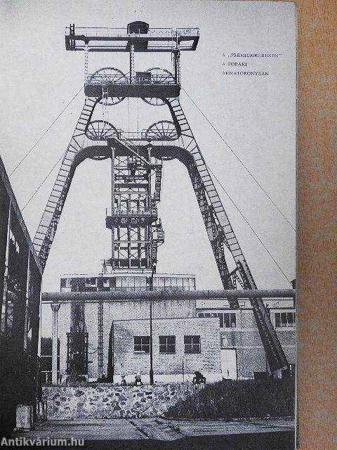 Tisztelet Komlónak!