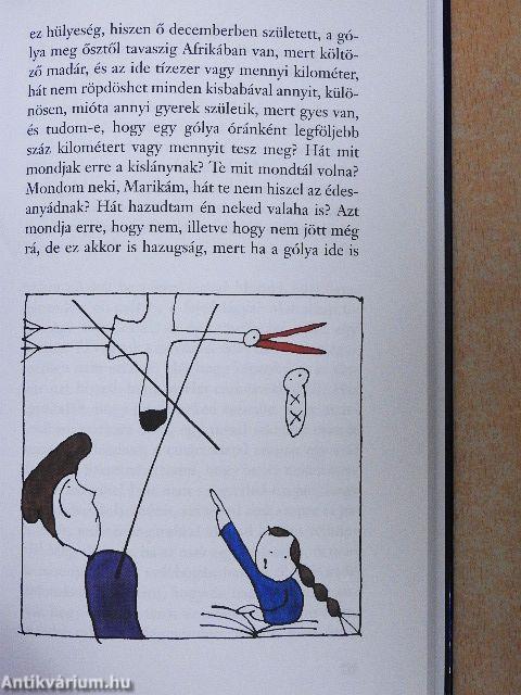 A lemez két oldala