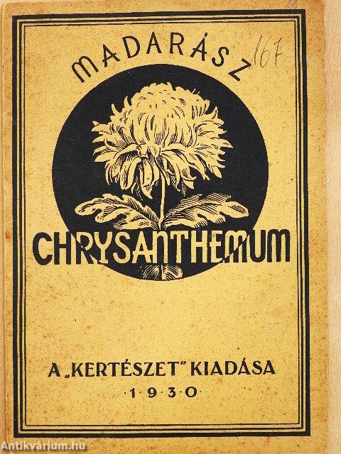 A chrysanthemum termesztése