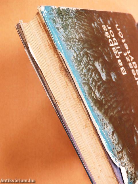 Kereszt a hegytetőn