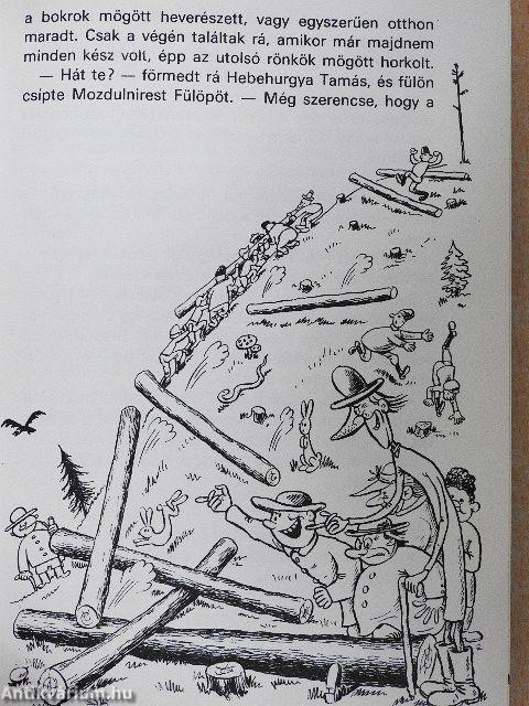 Piripócs város krónikája