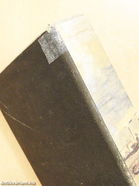 A nap szerelmese/Aranyecset