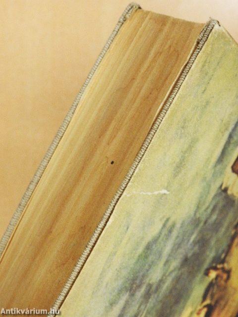 A nap szerelmese/Aranyecset