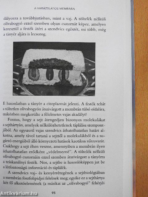 Tudat a belső teremtő