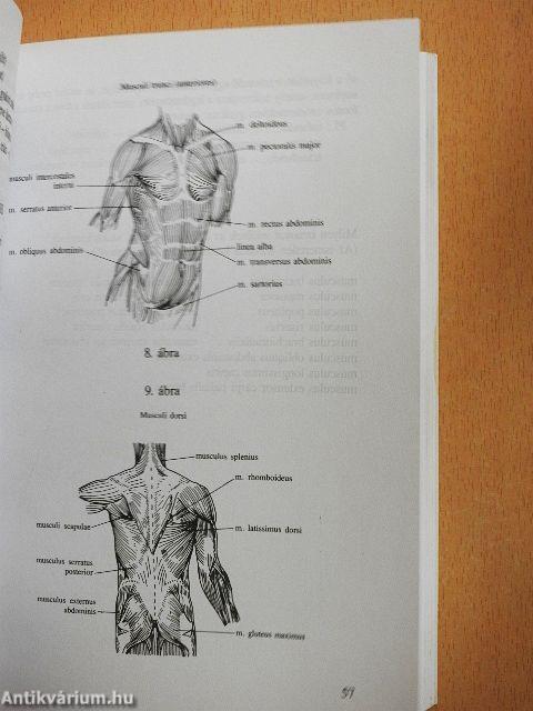 Orvosi latin nyelvi alapismeretek