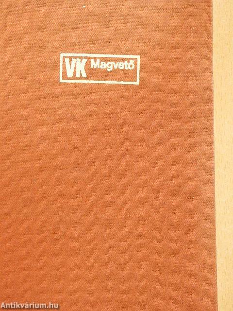 Ment egy ember az úton