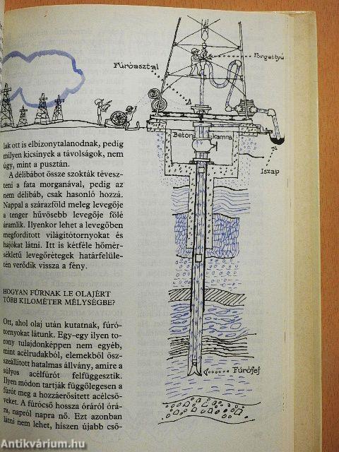 Kérdezz! Felelek mindenre