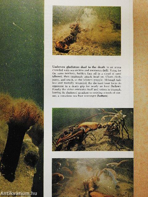 National Geographic April 1973