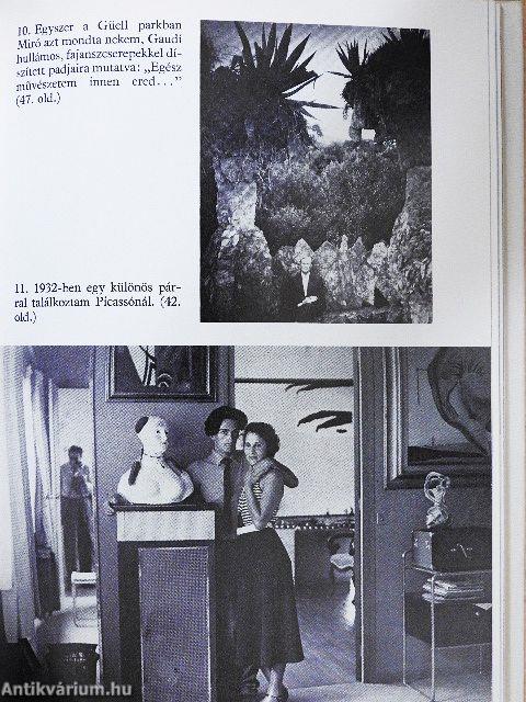 Beszélgetések Picassóval