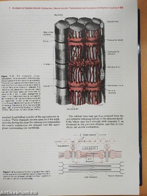 Textbook of Medical Physiology