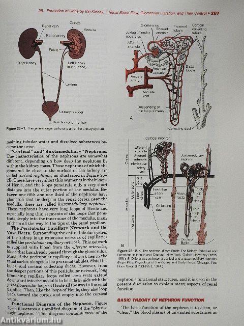Textbook of Medical Physiology