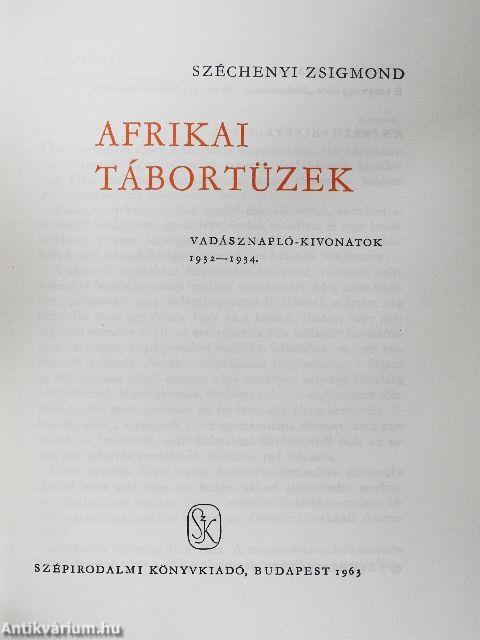 Afrikai tábortüzek