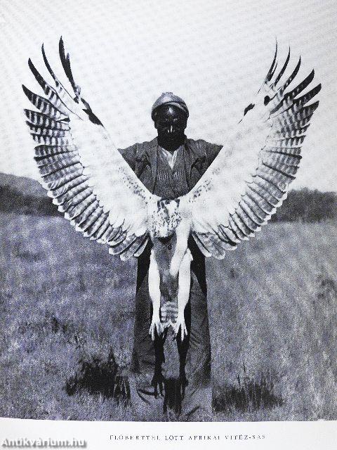 Afrikai tábortüzek
