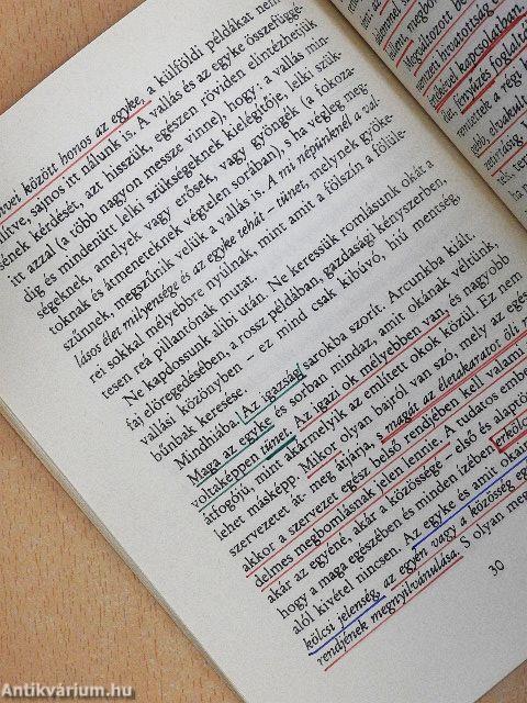 A magyarság pusztulása