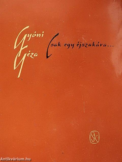 Csak egy éjszakára...