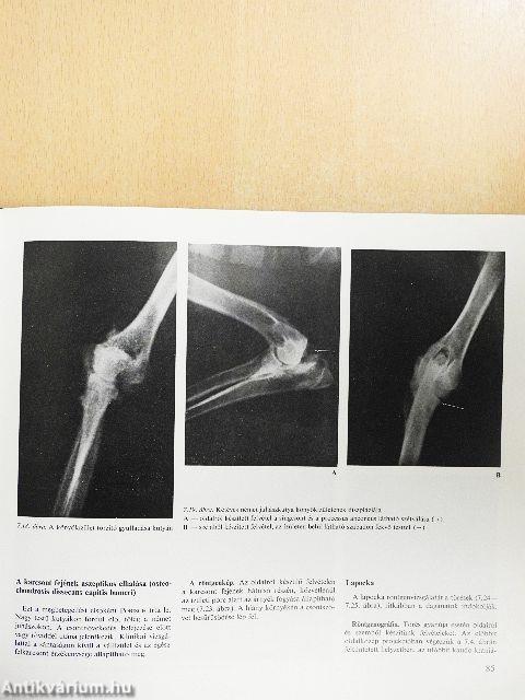 Állatorvosi röntgendiagnosztika
