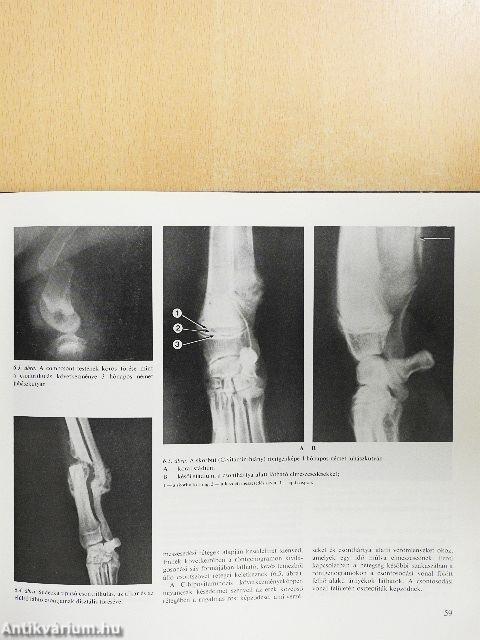 Állatorvosi röntgendiagnosztika