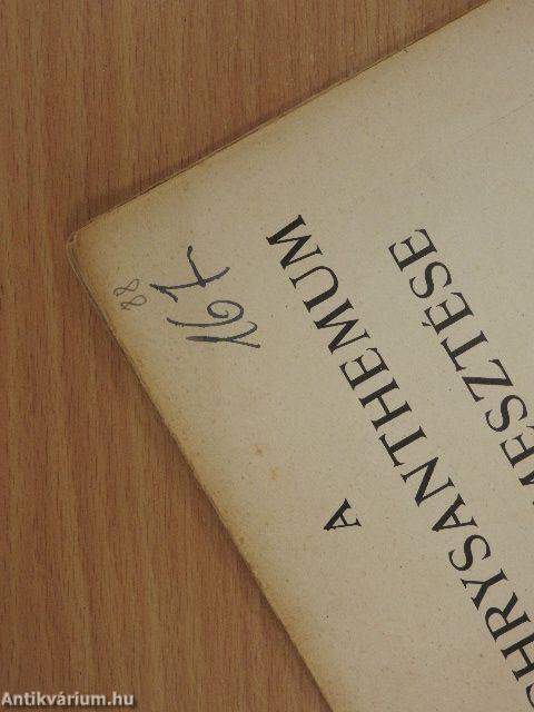 A chrysanthemum termesztése