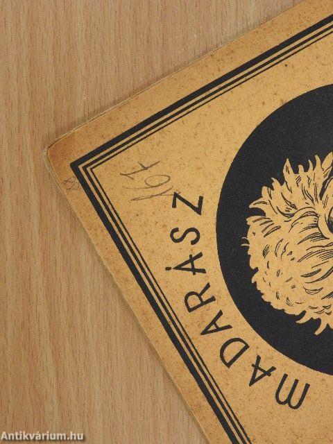 A chrysanthemum termesztése