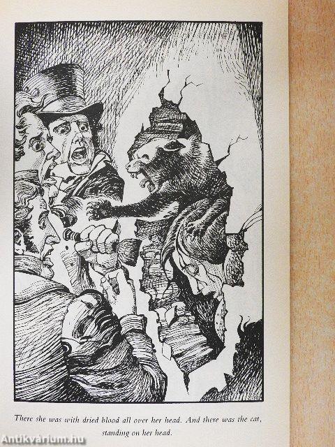 The Black Cat and other stories