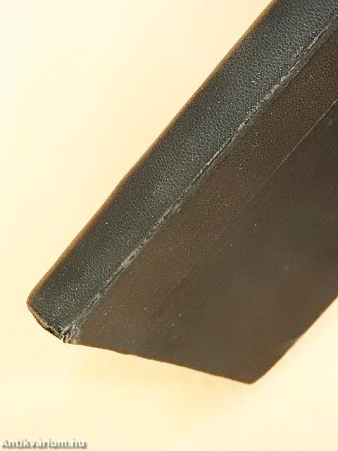 A nagy fekete kabát