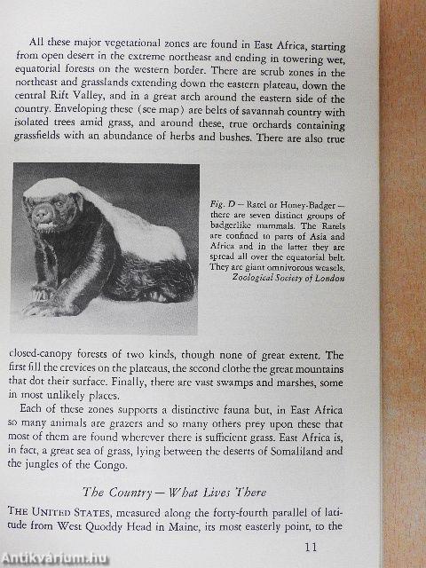 Safari in East Africa