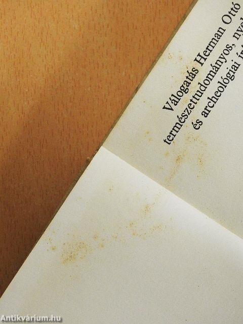 Az átalakulások világáról 