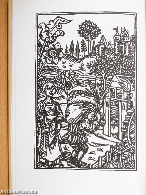 Mátyás király rózsát nyitó ostornyele