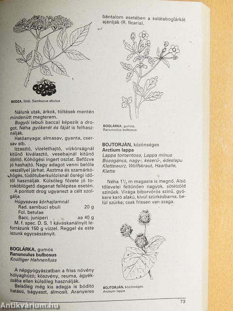 Gyógynövények gyógyhatásai