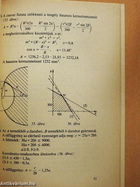 Szakmai jellegű matematikai feladatgyűjtemény