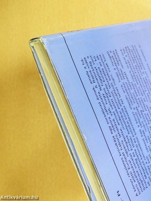 Az elszalasztott lehetőség