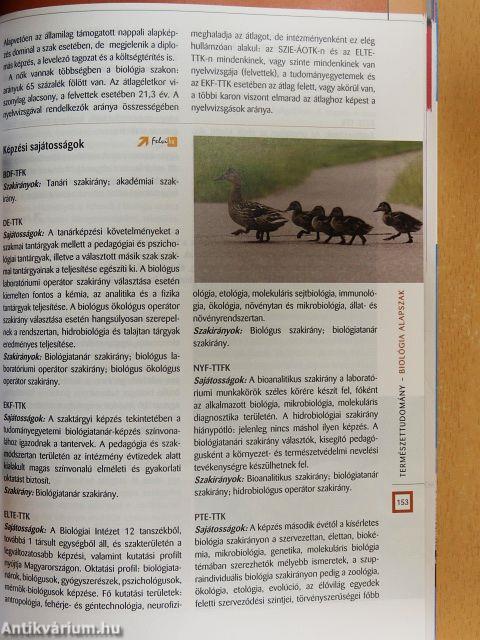 Felvételi tájoló 4. 2007