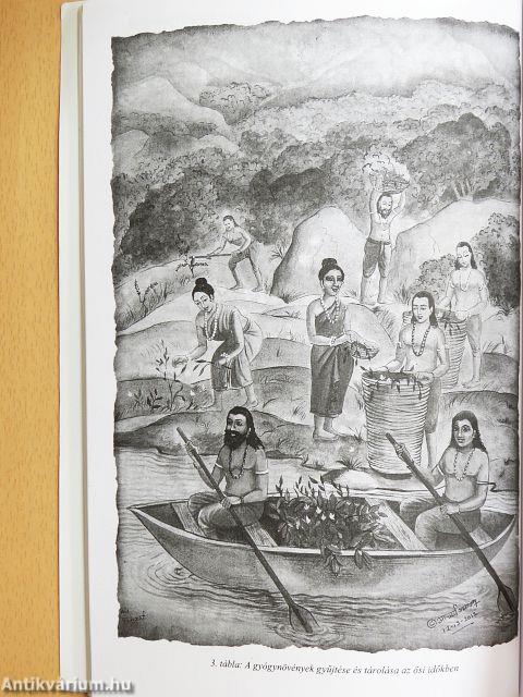 Hétköznapi ayurveda