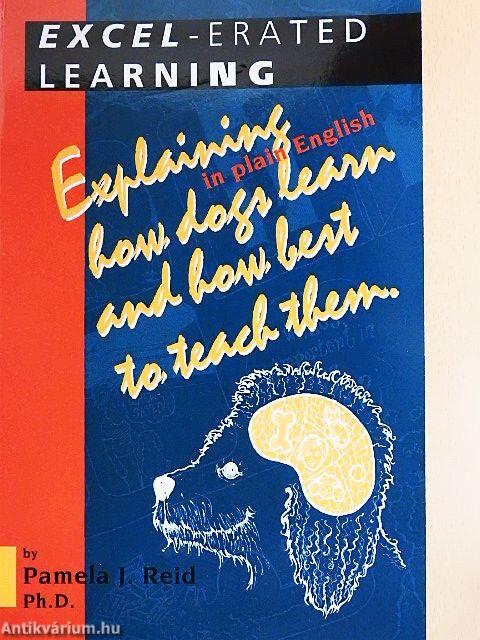 Excel-erated Learning