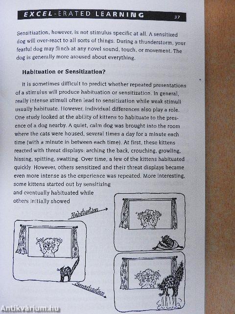 Excel-erated Learning