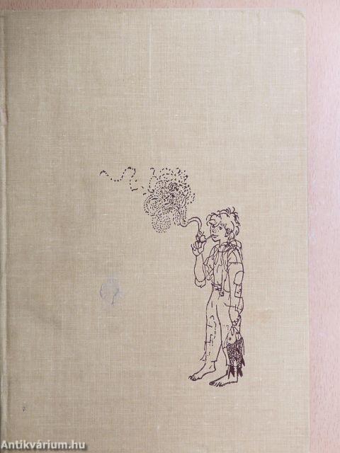 Huckleberry Finn kalandjai