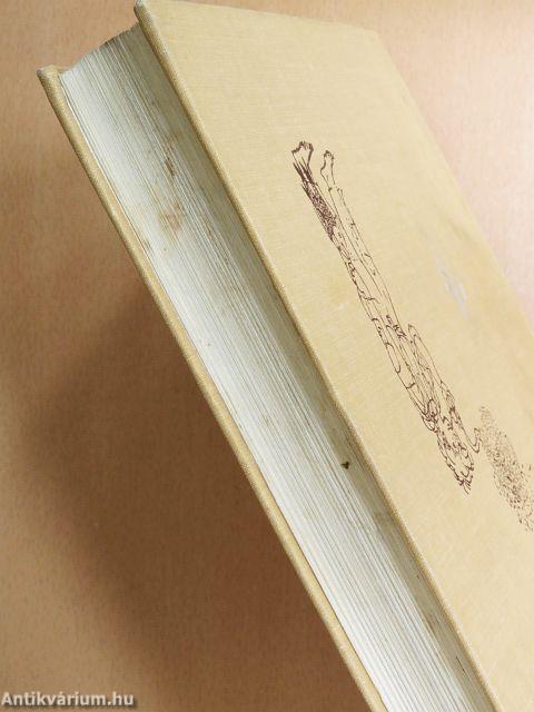 Huckleberry Finn kalandjai