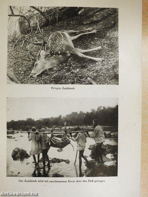 Für Hagenbeck im Himalaja und den Urwäldern Indiens