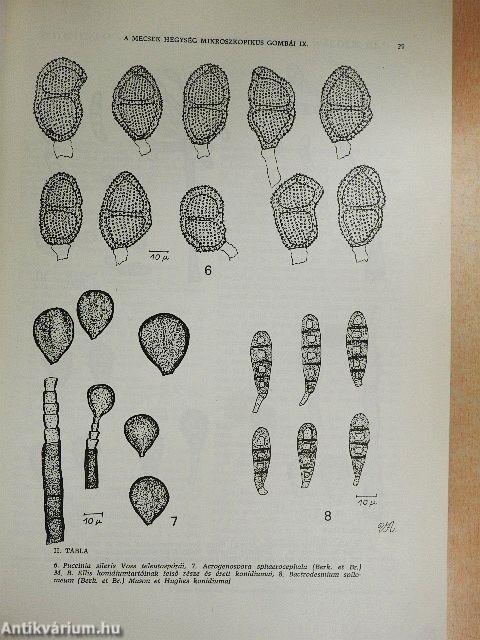 A Janus Pannonius Múzeum évkönyve 1980.