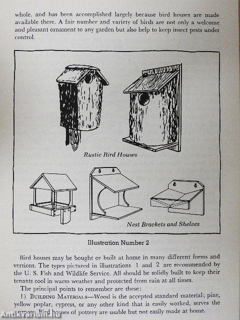 Your Book of Nature Activities