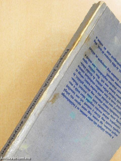 A mentőautó árnyékában