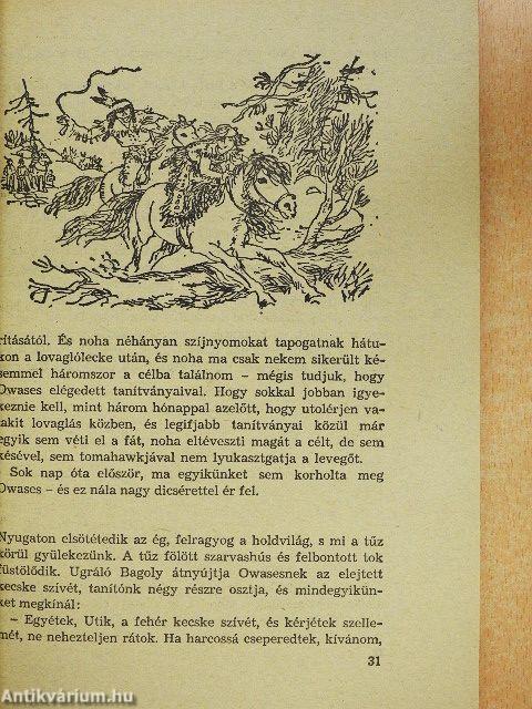 A Sós sziklák völgye