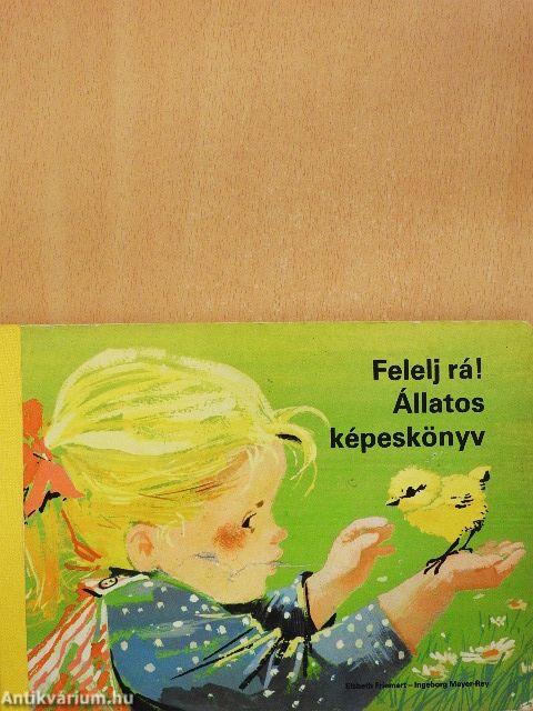 Felelj rá!