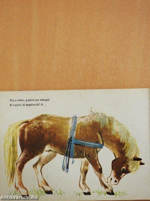 Felelj rá!
