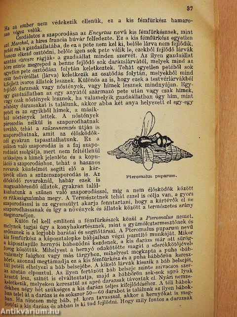 Kert- és mezőgazdaság hasznos állatai